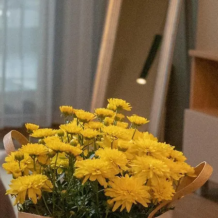 Apartment луксозно студио One Place In A1 - лозенец Sofia