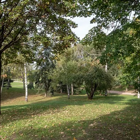 луксозно студио One Place In A1 - лозенец *