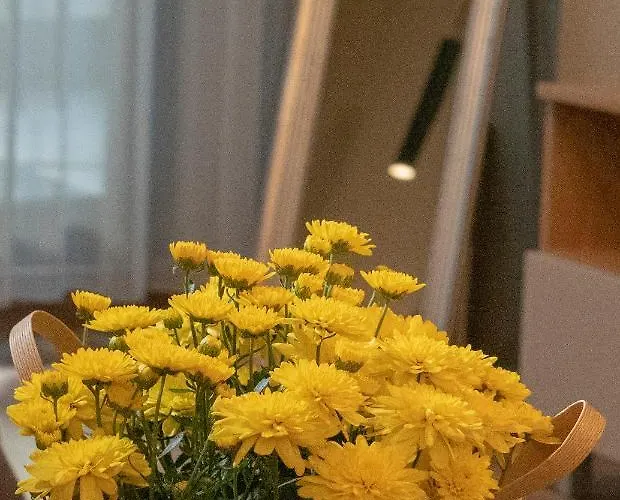 Апартамент луксозно студио One Place In A1 - лозенец София